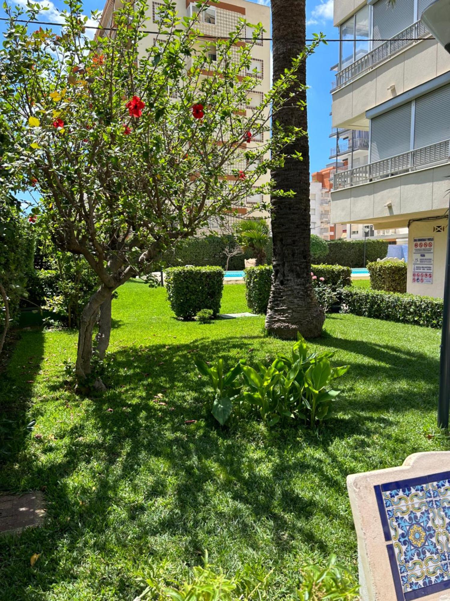 Apartamento Gandia Playa 150M Playa Con Parking Privado Y Piscina Playa de Gandia Eksteriør billede